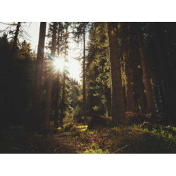 Enormous Paper Watch fr-FR